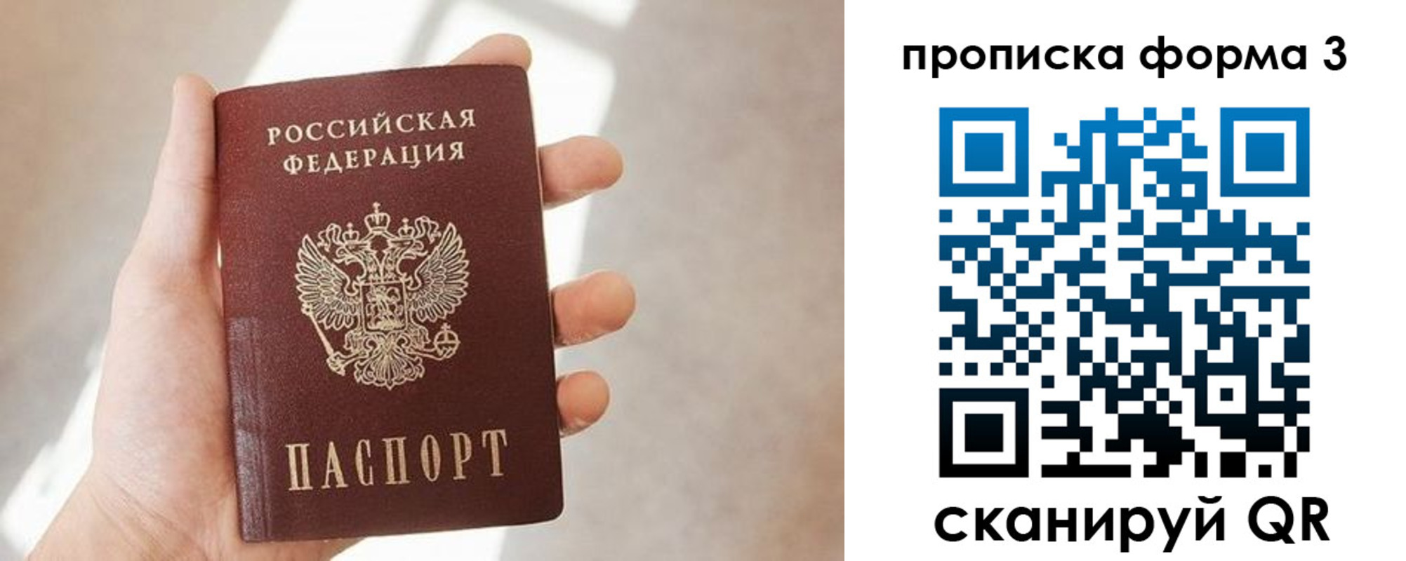 прописка для школы в Видном